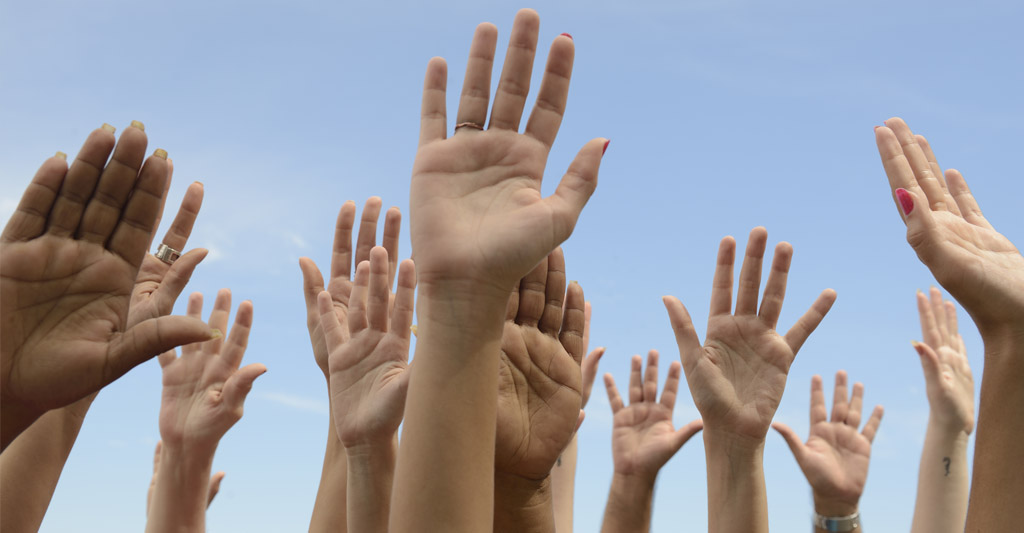 Volunteer Opportunities